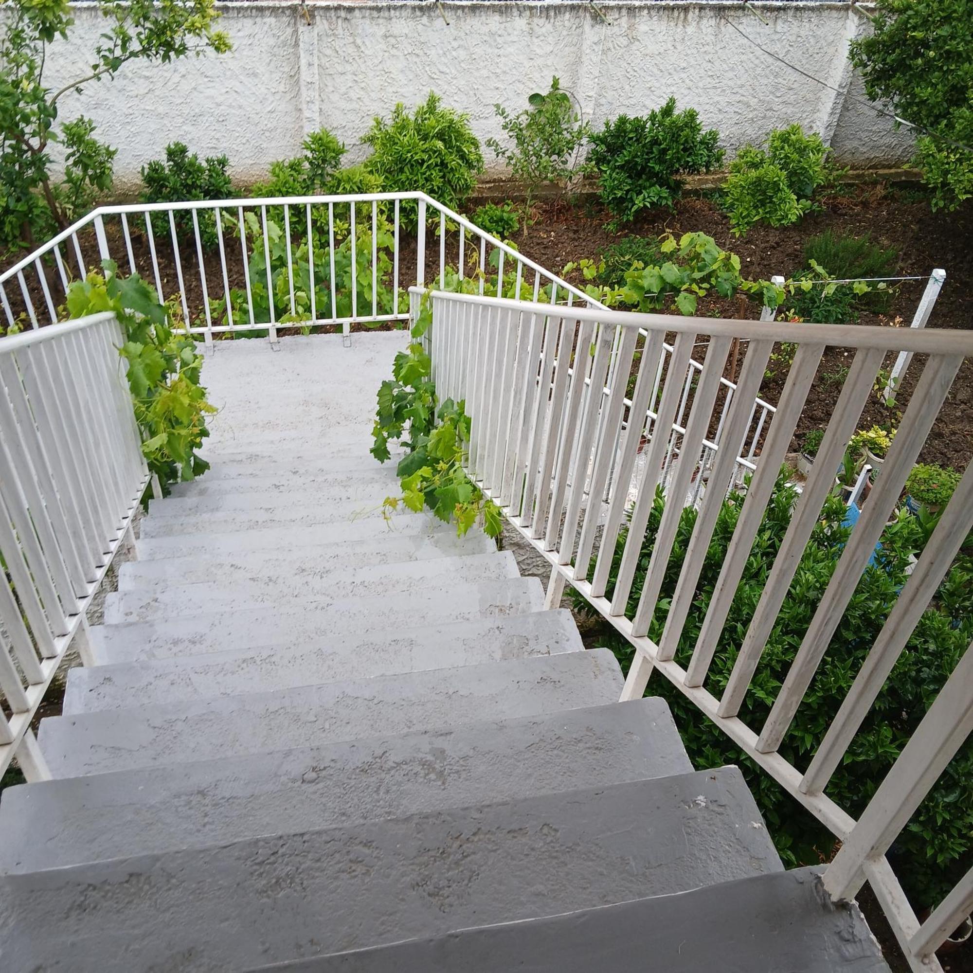 Villa Oasis Berat Exterior photo